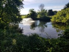 Pond Fountain