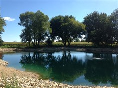 Dyed Pond with Aeration