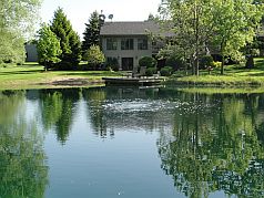 Pond Aeration