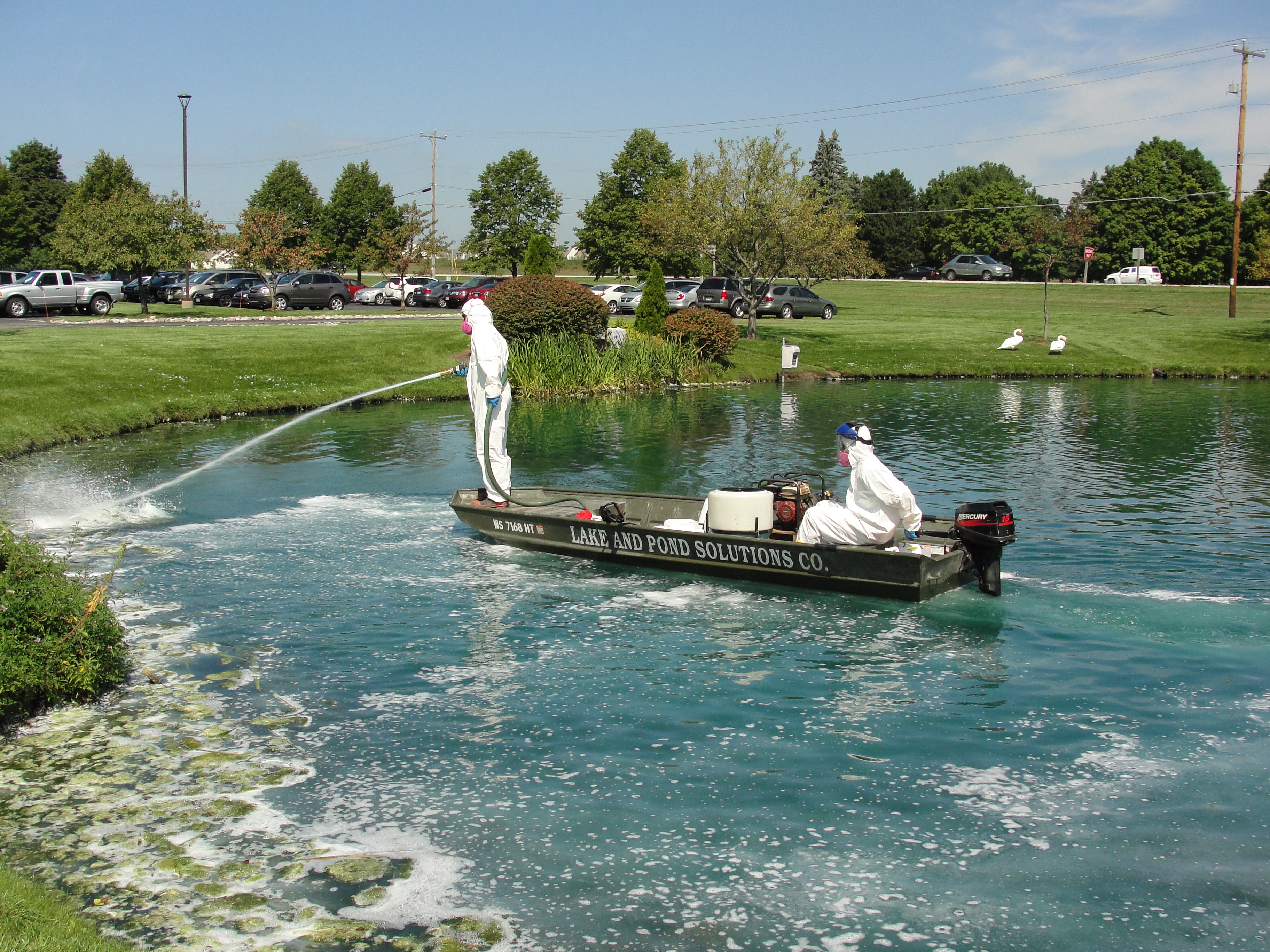 Algae & Weed Control