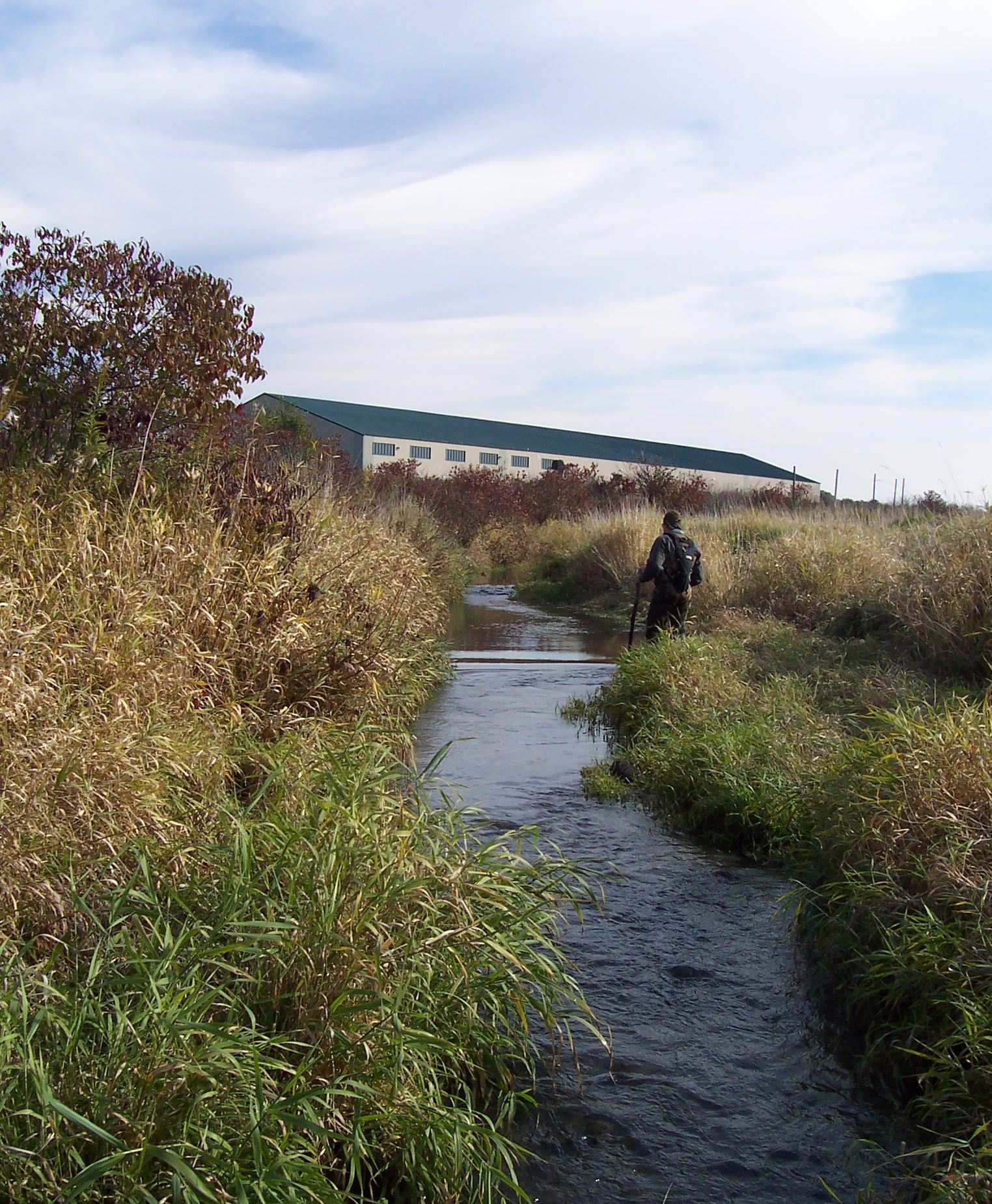 Environmental Studies