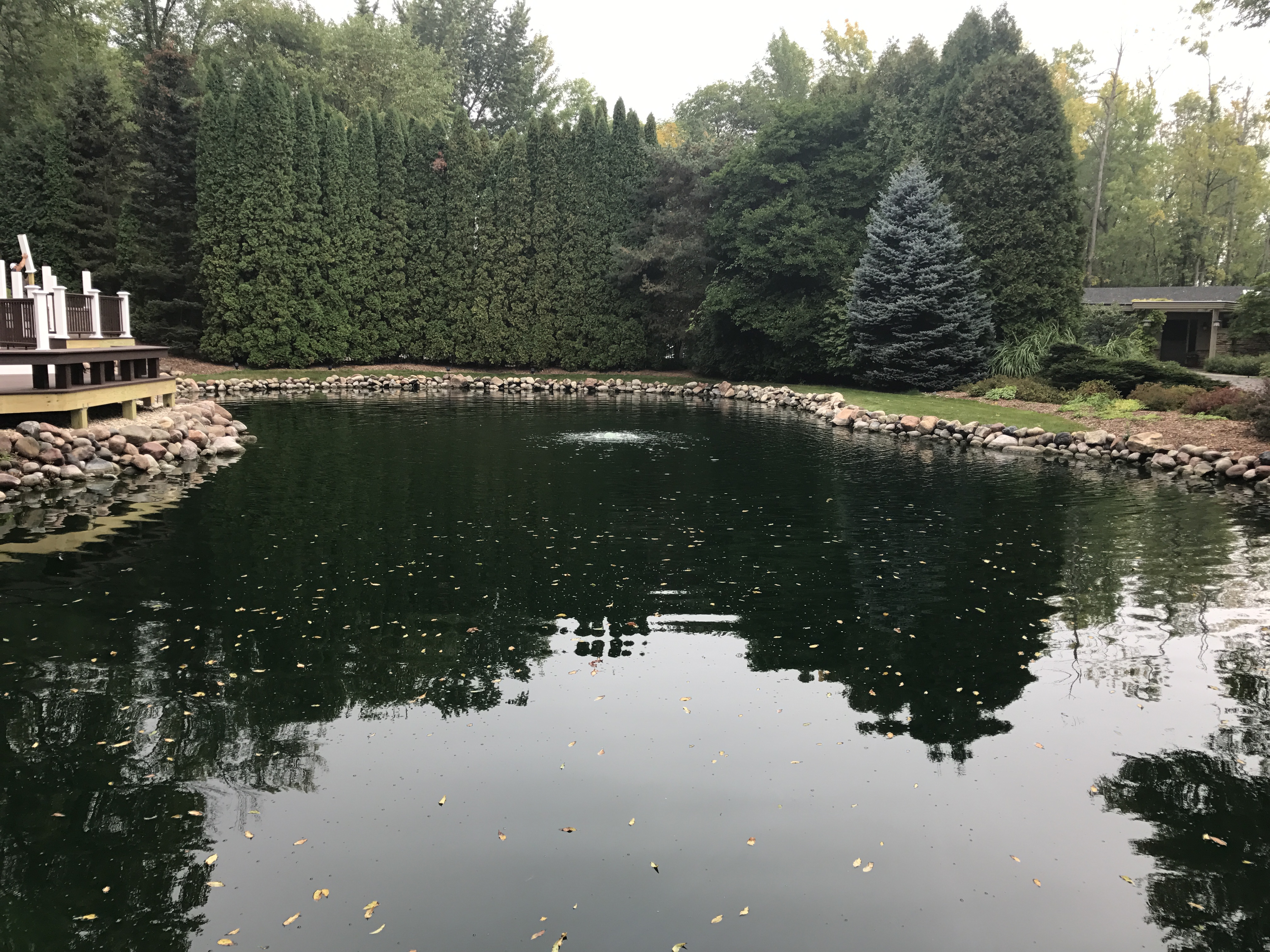 Pond Aeration