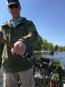 Plant Sampling
