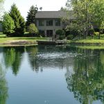 Pond Aeration