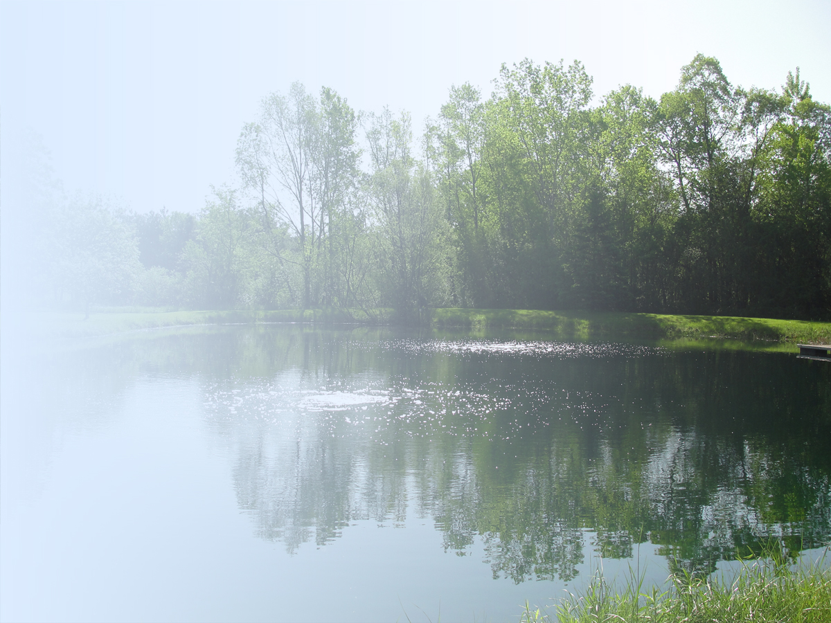 Pond Aeration