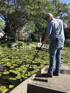Plant Sampling