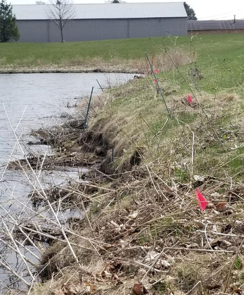 Environmental Studies Lake and Pond Solutions, LLC