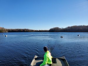 Water Quality Analysis