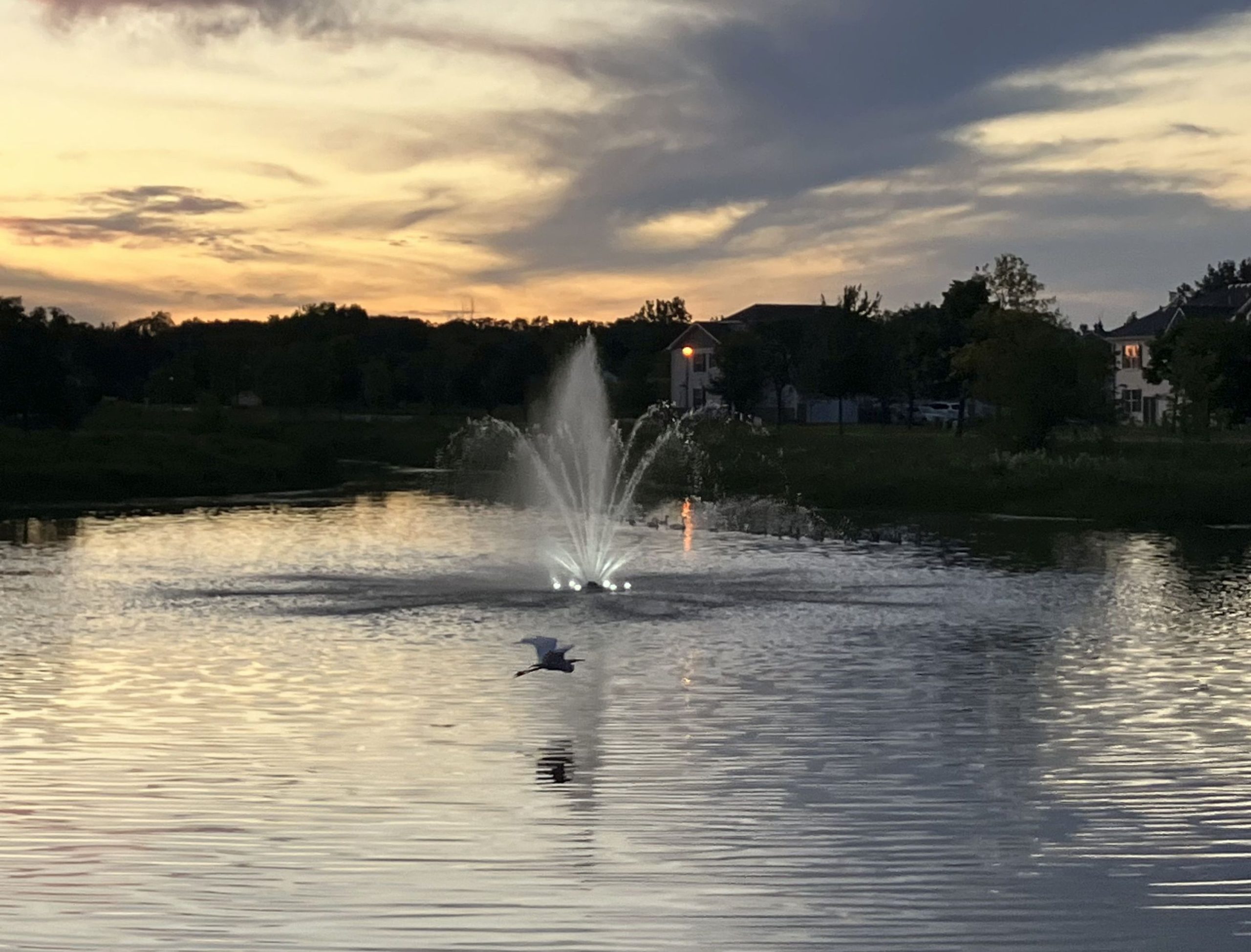 Pond Fountain - Kasco Marine