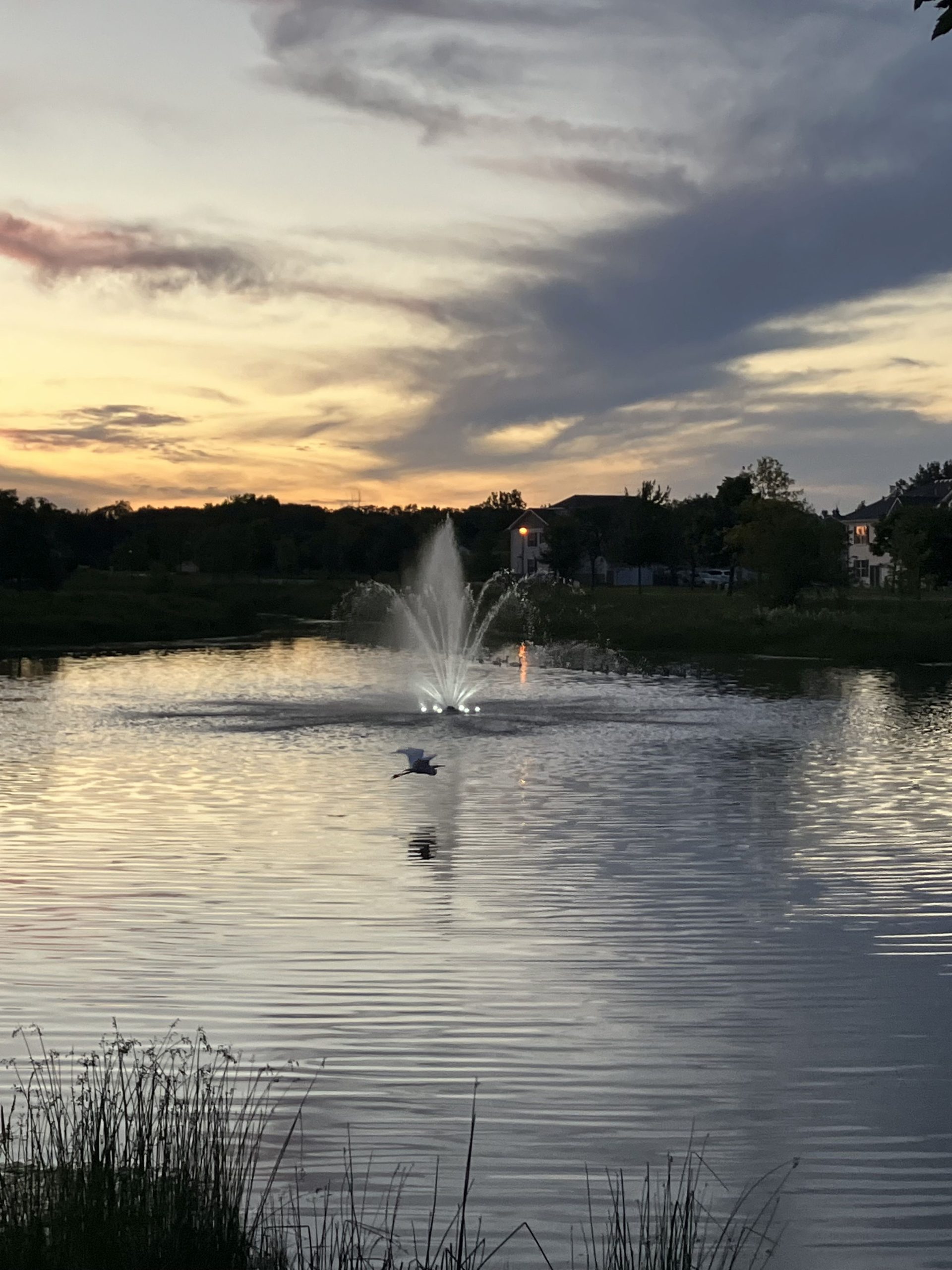 Pond Fountain