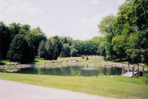 Aerated Pond