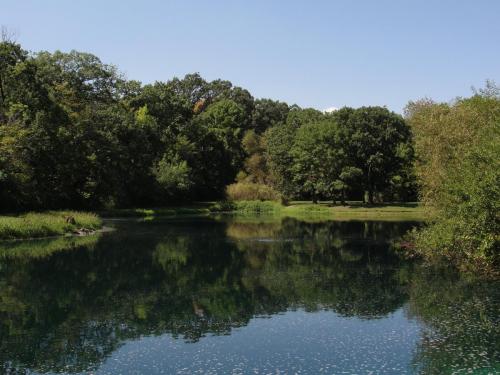 Aerated Pond