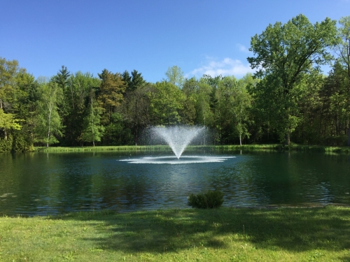 Fountain 2